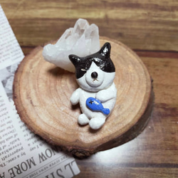 チンアナゴ ブローチ 石塑粘土 ちんあなご 海洋生物 ブローチ ふわり