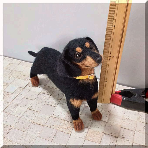 羊毛フェルト 犬 ダックスフンド 犬フィギュア ダックス ダックス