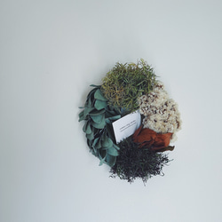 1.スターチスオーバルリース fit=scale-down,w=1200