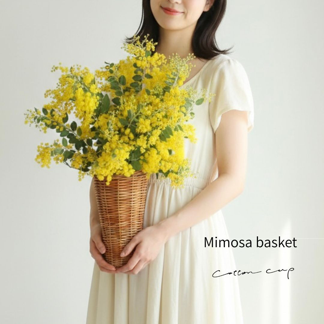 特集掲載　フレッシュミモザのハンギングバスケット　アカシア　プレゼント　ミモザ2026