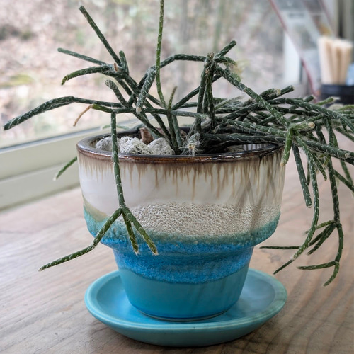 植木鉢 陶器 信楽焼【アダラS 琵琶湖ブルー】観葉植物 塊根植物 多肉