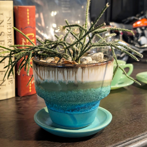 植木鉢 陶器 信楽焼【アダラS 琵琶湖ブルー】観葉植物 塊根植物 多肉