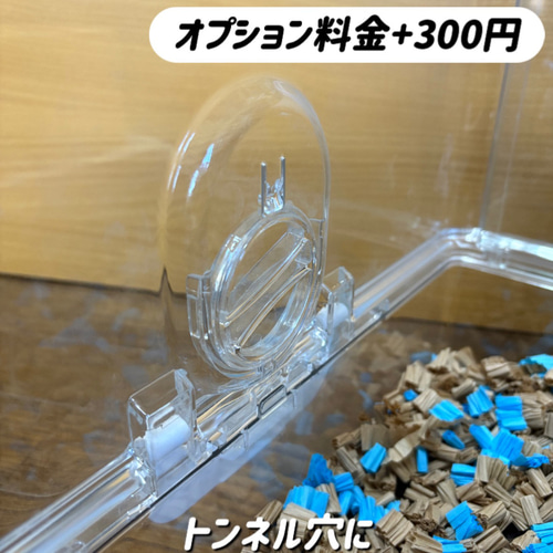 Kzオーダーページ シャイニー450ロフトハウス ハムスター シャイニー450専用ロフトハウス 階段付属