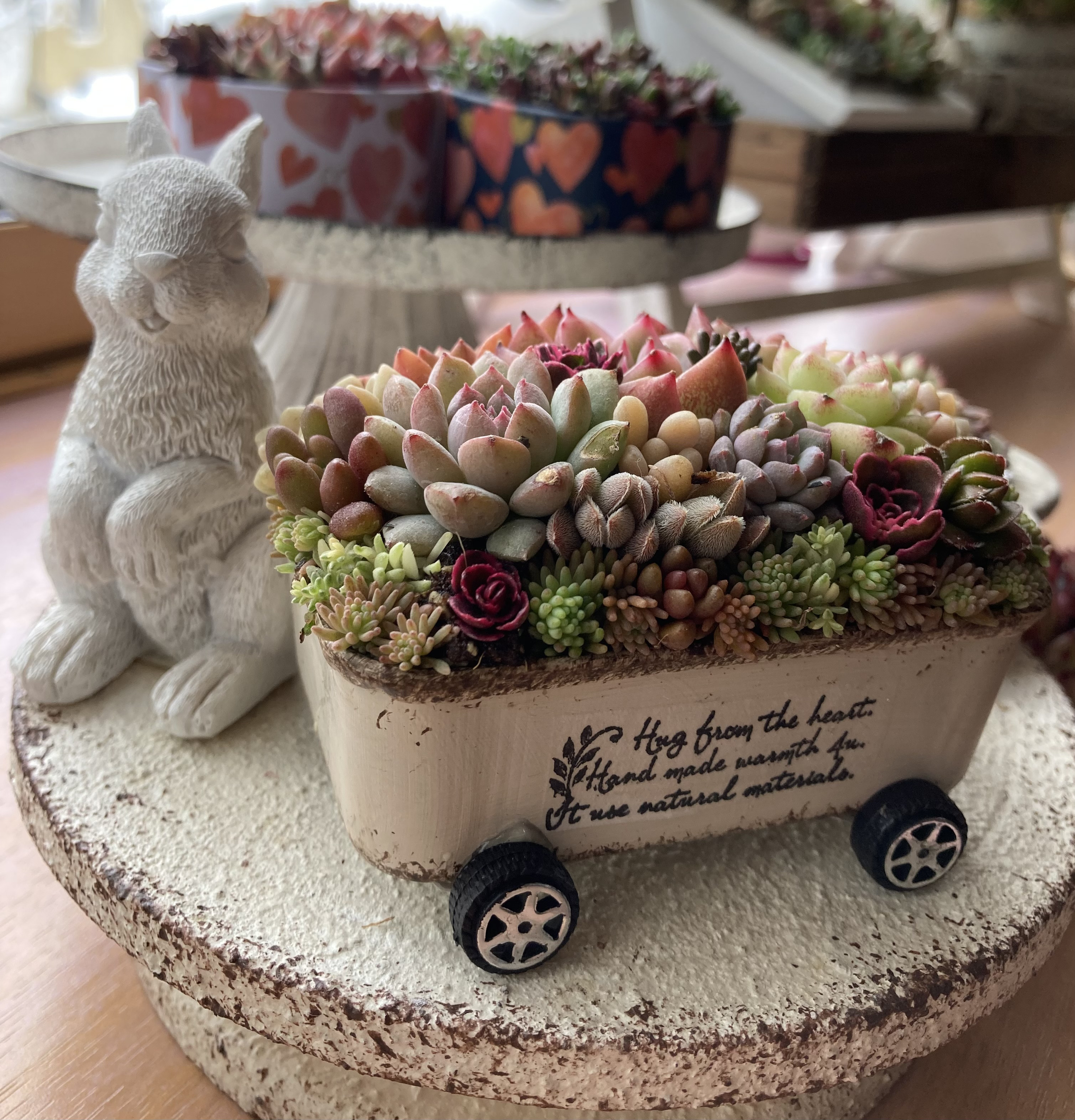 ❤️専用❤️多肉植物❤️そのまま飾れる寄せ植え~❤️ 【公式通販】