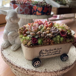 多肉植物 寄せ植え そのまま飾れる ちまちま寄せ オーダー制 多肉植物