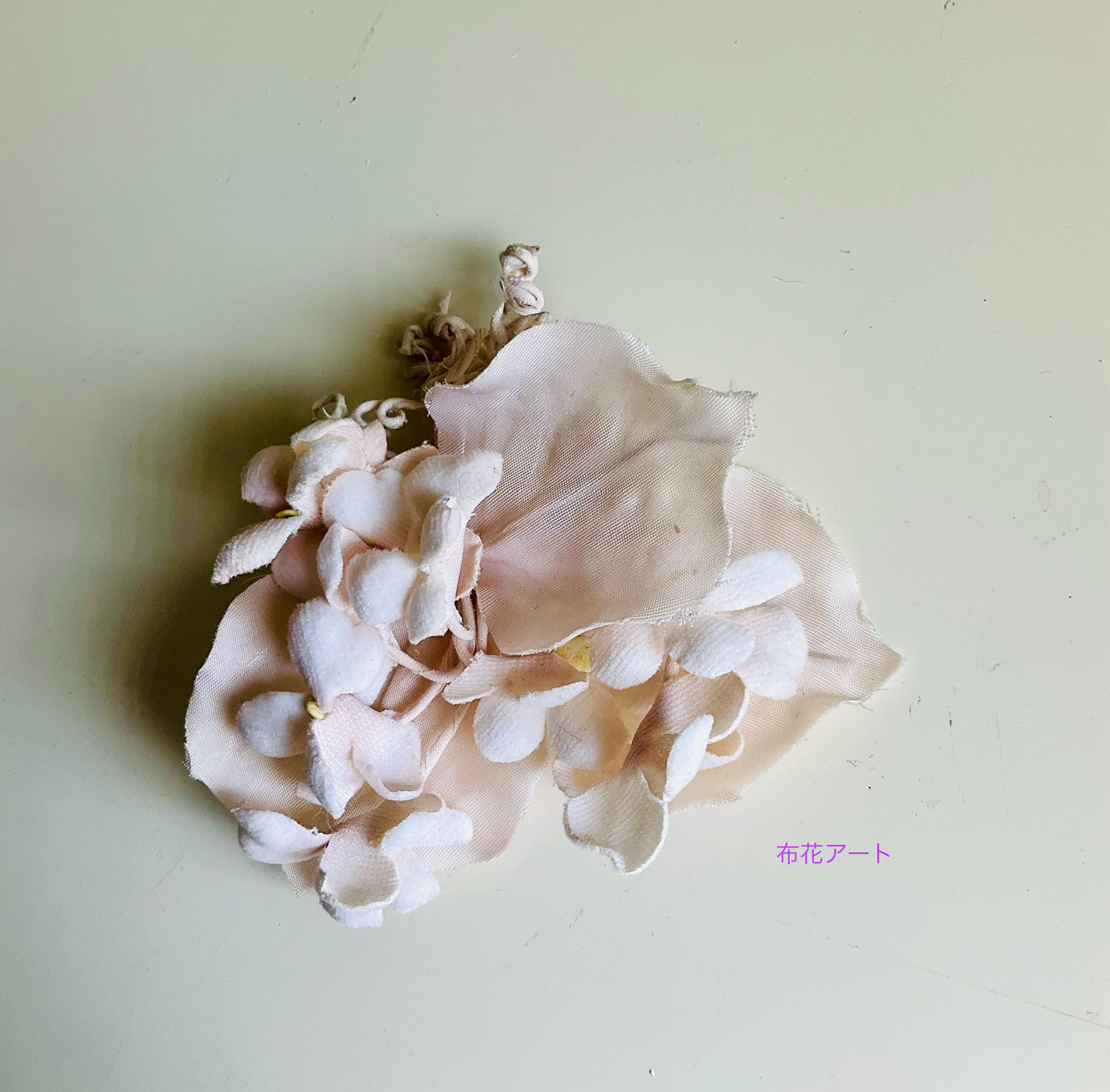 138  白いすみれ、