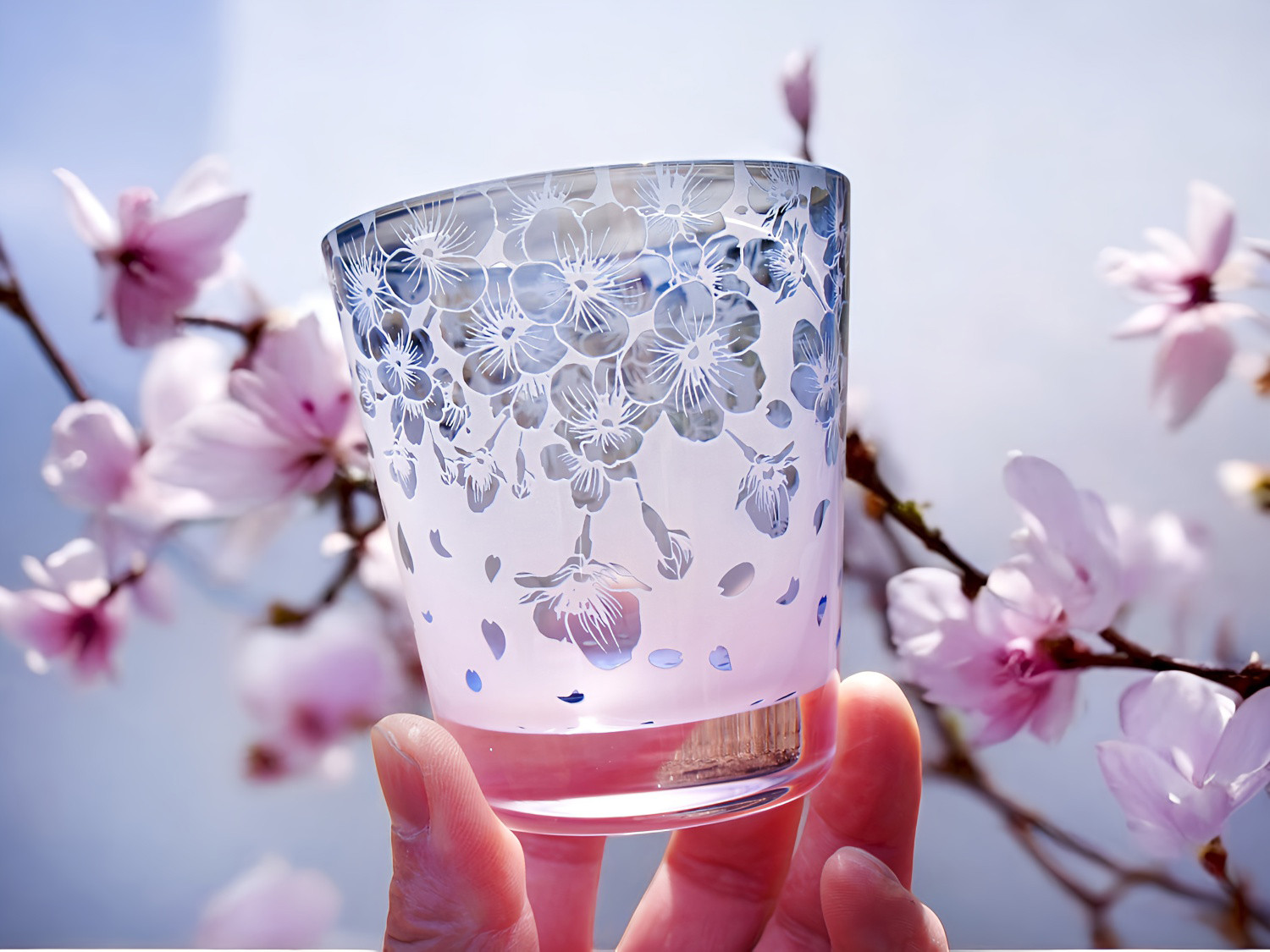 彩貴・爽桜浪漫