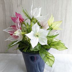 追憶】◇クリスマスローズ寄せ植え◇アメリカンフラワー・アート