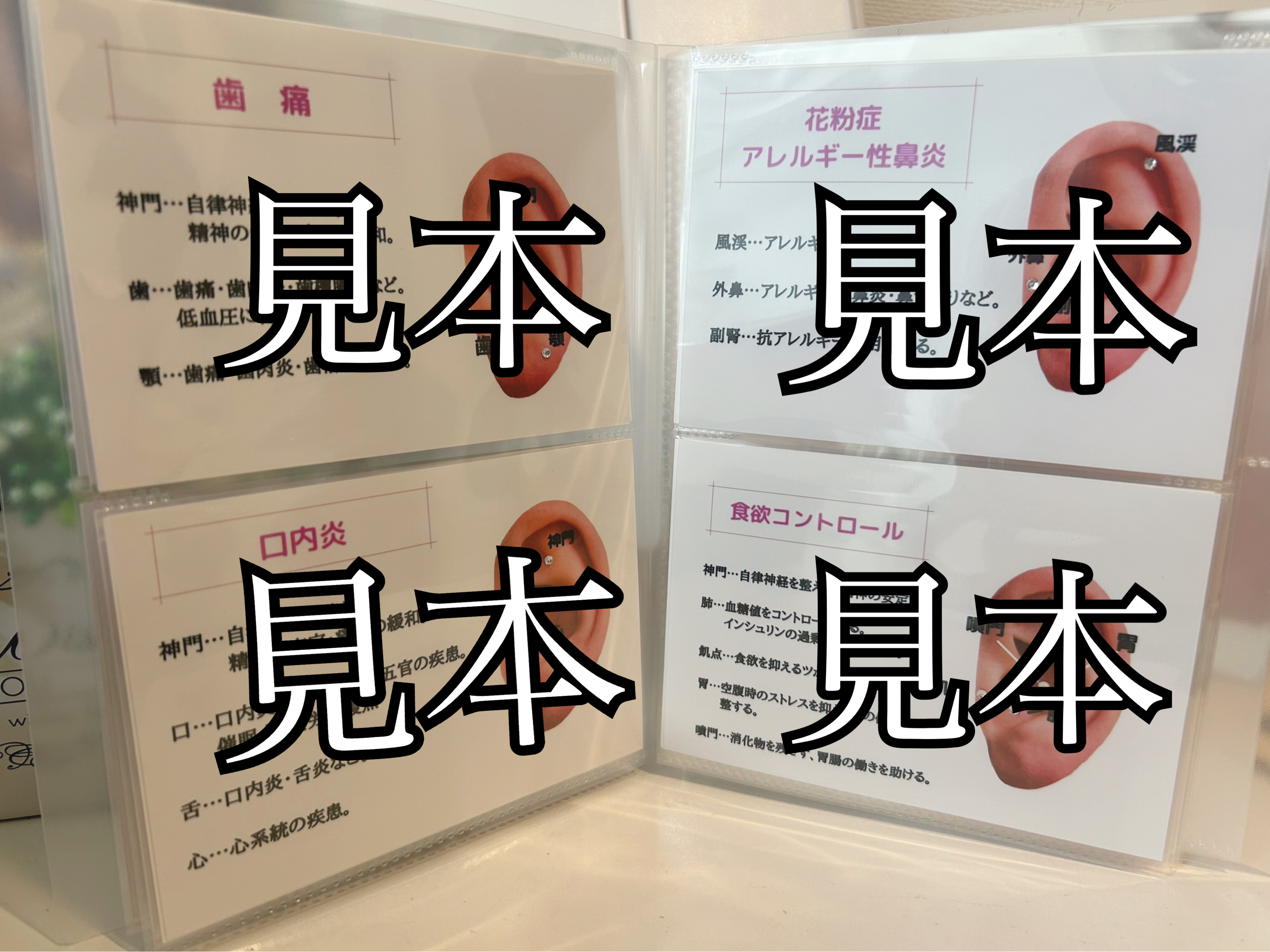 耳ツボジュエリーガイドブック(アクアマリン) 人気TOP 耳ツボジュエリー ツボガイドブック(アクアマリン