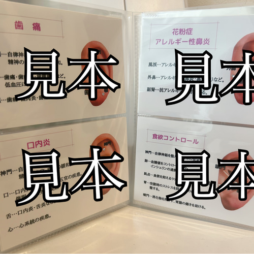 耳ツボジュエリー　ガイドブック(パール) 耳ツボジュエリーガイドブック(パール)