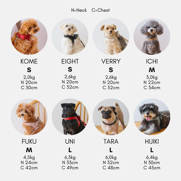 FuFu フワモコトートキャリー　オフホワイト　ー 　ペットキャリーバッグ　軽量　撥水素材　両利き対応 20枚目の画像