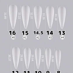 現品 ギャル 薔薇 蝶 ニュアンス ネイルチップ 卒業式 成人式 結婚式 5枚目の画像