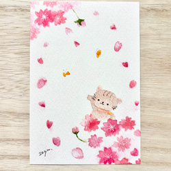透明水彩画 ポストカード3枚セット「春らんまん」桜 さくら サクラ 猫