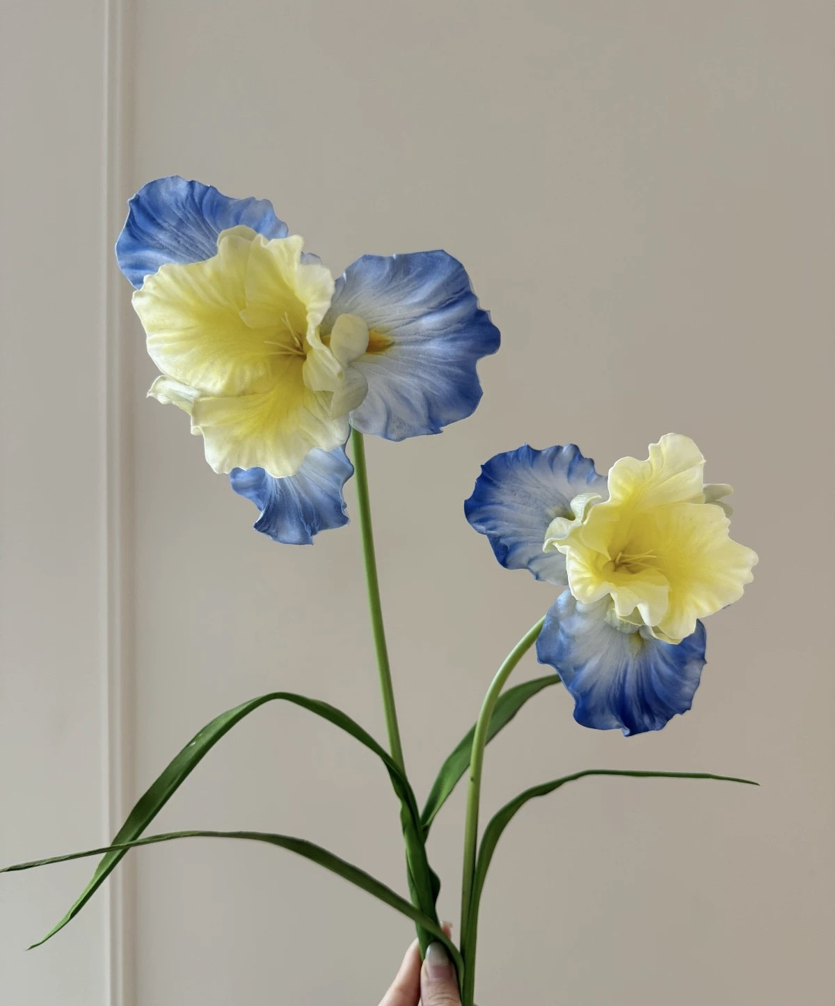 虹色の輝きを、あなたの空間に。心ときめく、カラーバリエーション豊かなアイリスの造花。