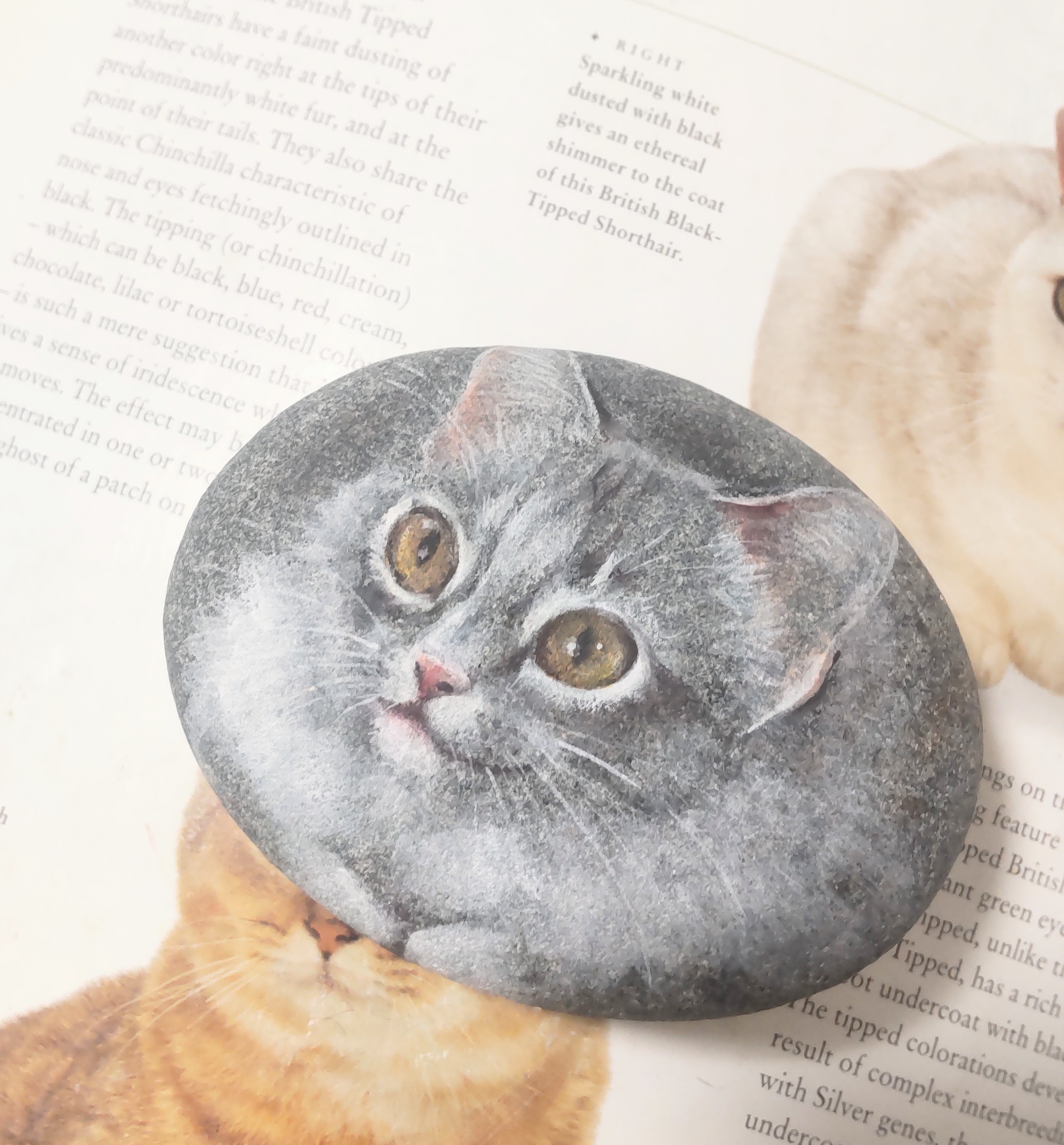 chikuri5 ふんわりサバ白猫さん　石猫　ストーンアート　ノルウェージャンフォレストキャット