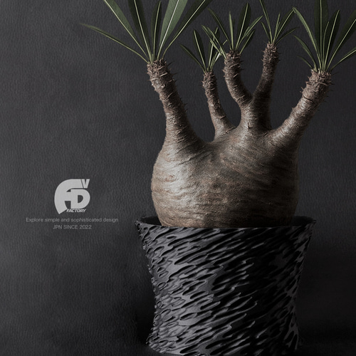 陶器植木鉢 作家鉢 ハンドメイド 塊根植物 アガべ XXLサイズ A-477 陶器植木鉢 作家鉢 ハンドメイド 塊根植物 アガべ XXLサイズ A