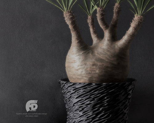 手作植木鉢 グラデーション树脂鉢 塊根植物 グラキリス パキプス アガベ) 手作植木鉢 Mサイズ 検（ 塊根植物 グラキリス パキプス アガベ