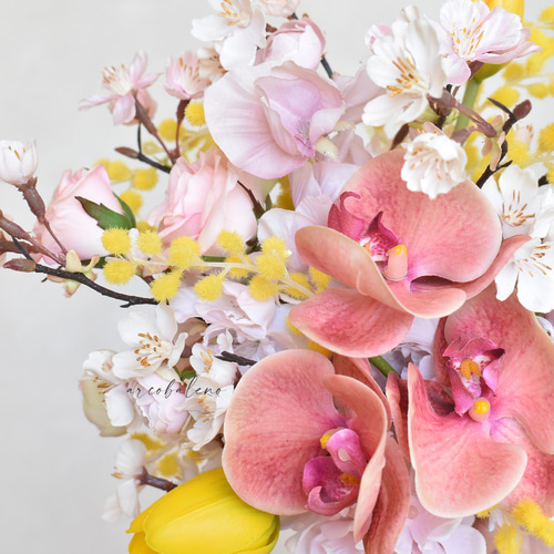 ブートニア付き】ミモザ、桜、チューリップ、胡蝶蘭の春色ブーケ