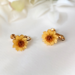 耳ツボジュエリー | 耳ツボ辞典 | 112通り＋αの症状 | B6サイズ