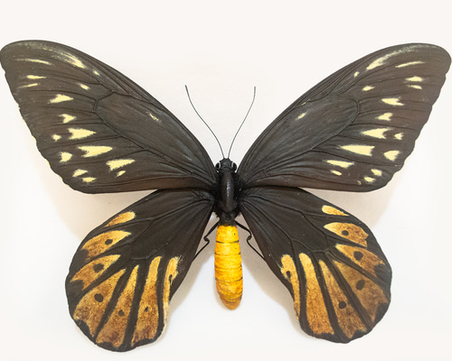 7f033dfe4cecce247b2a21f82ca801