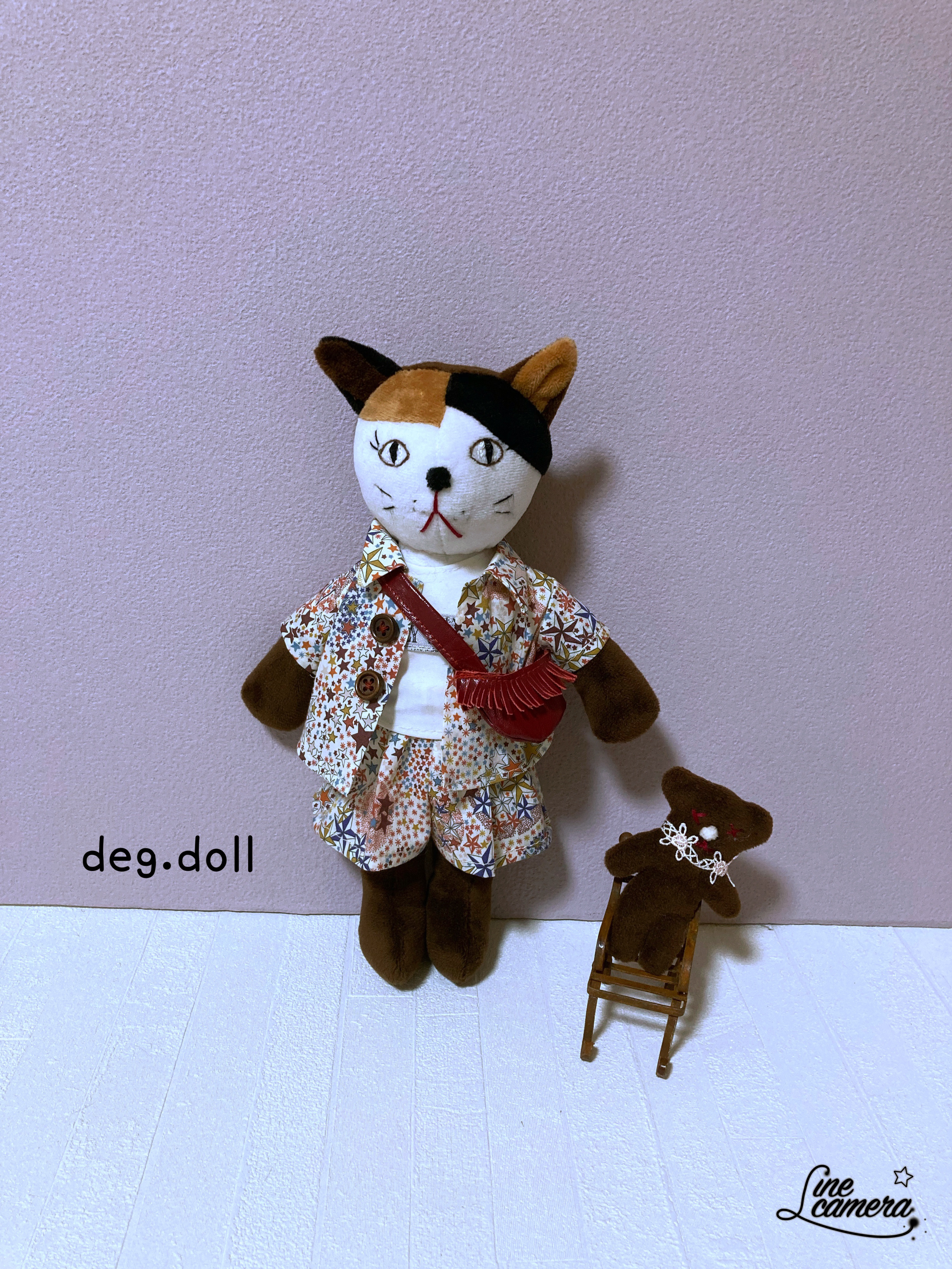 三毛猫ちゃんのキュロットさん