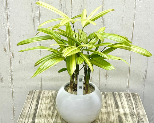 96f31ec4ba4daeb4e85fdb7dfd55f0