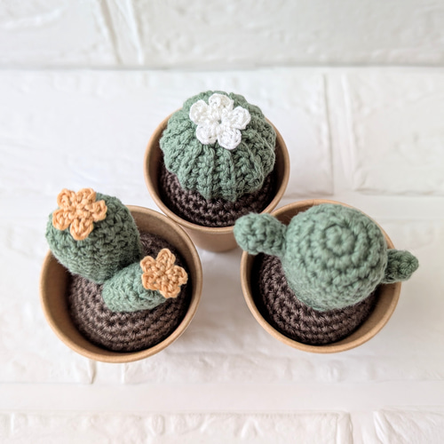 手編みのサボテン3種セット(送料込) 多肉植物 毛糸の雑貨屋 na.tu 通販