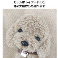 新作【受注製作】選べるわんこ　ハンプトートS  ベージュ×ブラウン 2枚目の画像