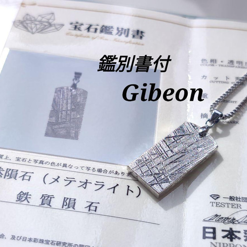 変革と成功】鑑別書付き◇ギベオン隕石◇メテオライト◇ | ANNA  