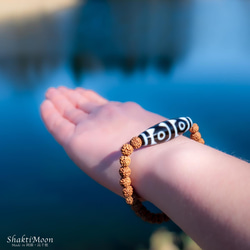 【虎牙六眼天珠 仕事 商売繁盛 勝負 成功 至純高級天珠】お守りルドラクシャブレスレット 菩提樹の実 全チャクラ対 5枚目の画像