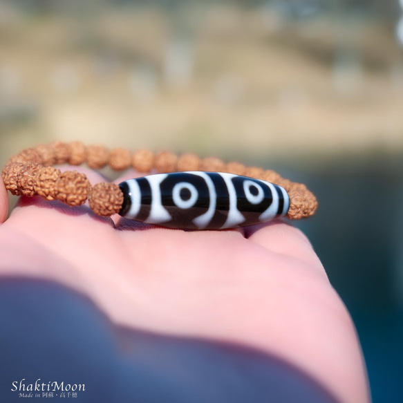 【虎牙六眼天珠 仕事 商売繁盛 勝負 成功 至純高級天珠】お守りルドラクシャブレスレット 菩提樹の実 全チャクラ対 3枚目の画像