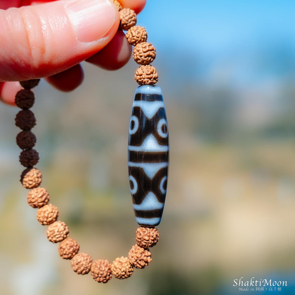 【虎牙六眼天珠 仕事 商売繁盛 勝負 成功 至純高級天珠】お守りルドラクシャブレスレット 菩提樹の実 全チャクラ対 2枚目の画像