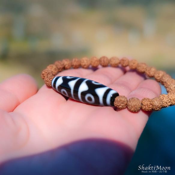 【虎牙六眼天珠 仕事 商売繁盛 勝負 成功 至純高級天珠】お守りルドラクシャブレスレット 菩提樹の実 全チャクラ対 4枚目の画像