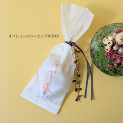  第5張的照片
