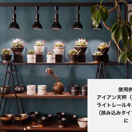 育成ライトが取付可、ライトレールスタンド 植物棚 アガベ 塊根