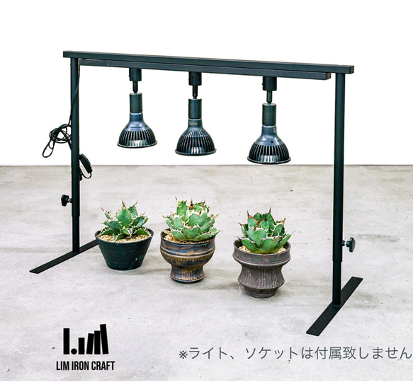 育成ライトが取付可、ライトレールスタンド 植物棚 アガベ 塊根