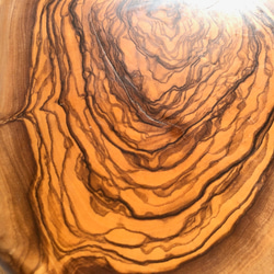 オリーブの木　厚みがあり存在感抜群のテーブルアイテム　輪切りLL　最大幅約18~20cm 9枚目の画像