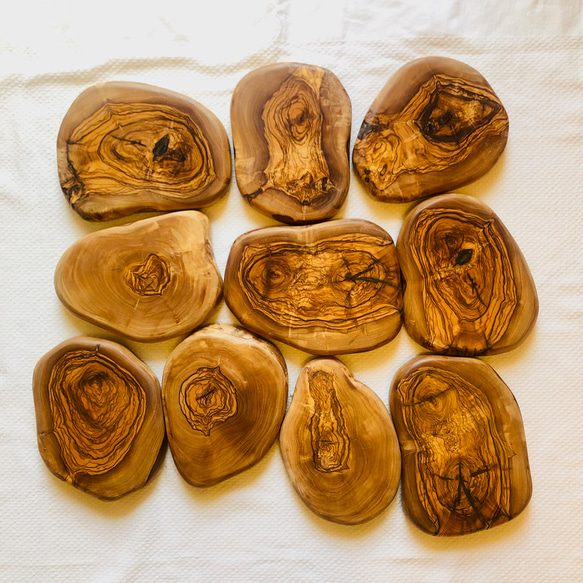 オリーブの木　厚みがあり存在感抜群のテーブルアイテム　輪切りLL　最大幅約18~20cm 1枚目の画像