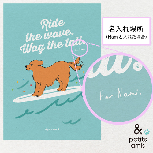 【犬ページ】 ほんとうにあった犬の話 ワン!ダフルストーリーズ (講談社青い鳥文庫 C