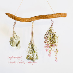 流木インテリア 無骨で古木風な天然流木のハンガーフック 流木ハンガー ハンギング ウォールデコ 北欧 N18 3枚目の画像