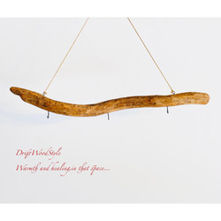 流木インテリア 無骨で古木風な天然流木のハンガーフック 流木ハンガー ハンギング ウォールデコ 北欧 N18 5枚目の画像