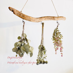 流木インテリア 無骨で古木風な天然流木のハンガーフック 流木ハンガー ハンギング ウォールデコ 北欧 N18 2枚目の画像