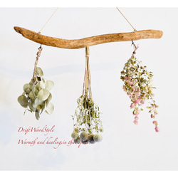 流木インテリア 無骨で古木風な天然流木のハンガーフック 流木ハンガー ハンギング ウォールデコ 北欧 N18 4枚目の画像