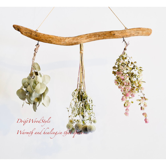 流木インテリア 無骨で古木風な天然流木のハンガーフック 流木ハンガー ハンギング ウォールデコ 北欧 N18 4枚目の画像