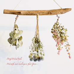 流木インテリア 無骨で古木風な天然流木のハンガーフック 流木ハンガー ハンギング ウォールデコ 北欧 N19 4枚目の画像