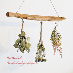 流木インテリア 無骨で古木風な天然流木のハンガーフック 流木ハンガー ハンギング ウォールデコ 北欧 N19 2枚目の画像