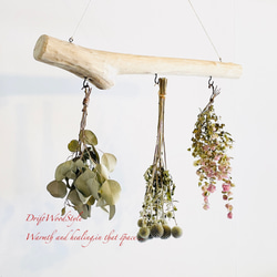 流木インテリア 無骨で古木風な天然流木のハンガーフック 流木ハンガー ハンギング ウォールデコ 北欧 N20 2枚目の画像