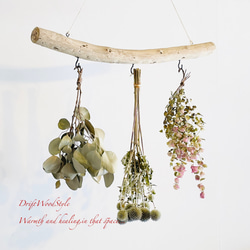 流木インテリア 無骨で古木風な天然流木のハンガーフック 流木ハンガー ハンギング ウォールデコ 北欧 N21 2枚目の画像