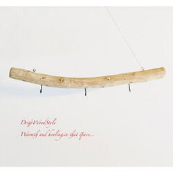 流木インテリア 無骨で古木風な天然流木のハンガーフック 流木ハンガー ハンギング ウォールデコ 北欧 N21 5枚目の画像