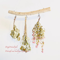 流木インテリア 無骨で古木風な天然流木のハンガーフック 流木ハンガー ハンギング ウォールデコ 北欧 N21 3枚目の画像